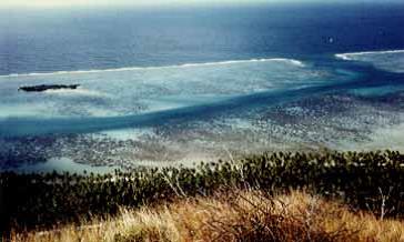 Tiahura Radial in 1971